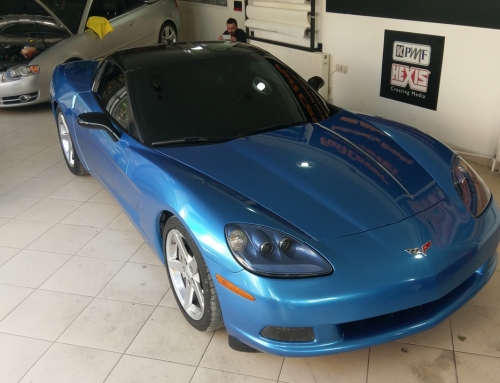 Corvette C6 ( Mavi )