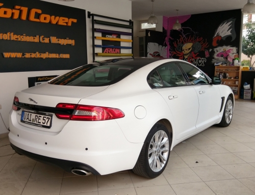 Jaguar ( Mat Beyaz )