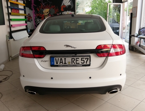 Jaguar ( Mat Beyaz )