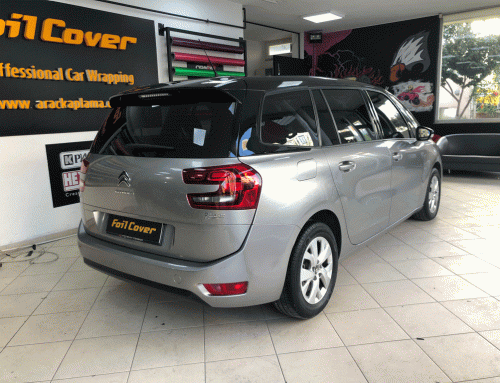 Cıtreon C4 Picasso Alüminyum Gri Araç Kaplama