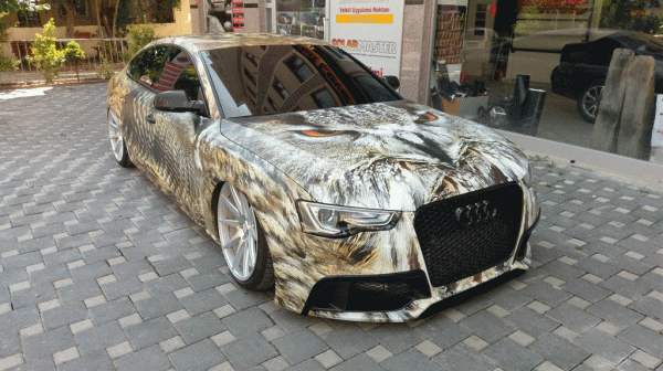 baykuş kaplama foil cover araç kaplama folyo kaplama audi kaplama